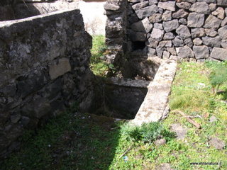conco di Liricio-24-03-2013 10-36-40